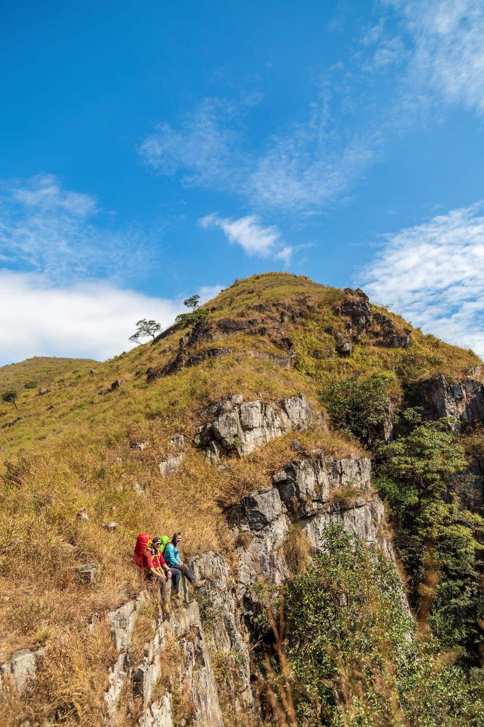 7DE887BF-8350-42A3-ACA7-C1911585E175