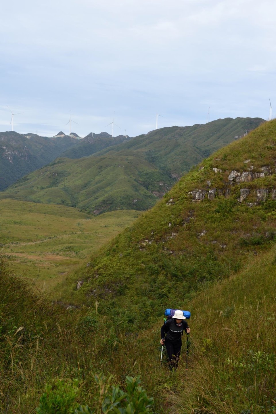 B5A13D6B-D5AE-4553-9590-69F15880D5A8