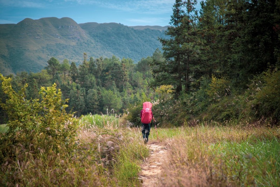 DCAD32F1-4BAC-4F04-81CD-947D9C1E28DE