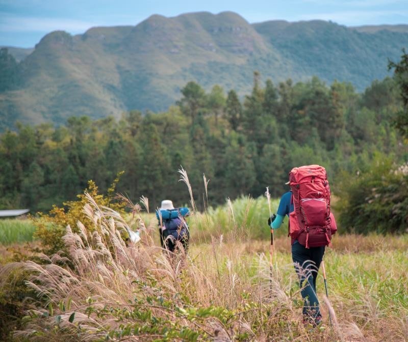 4655059B-D9AF-4273-A291-CC55B607334A