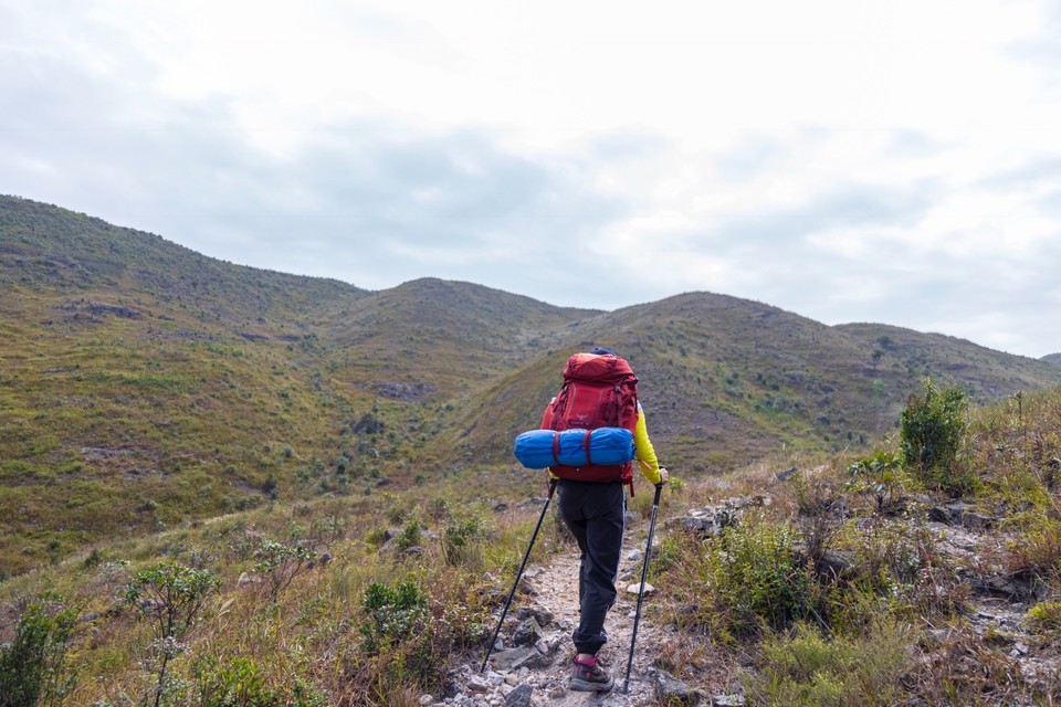 1E9728E2-1862-48E0-9D73-2E5C546A9D2D