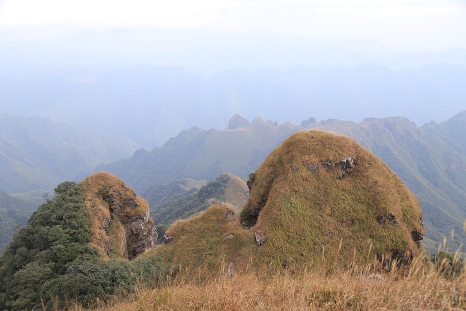 F0695FD5-F715-4B3C-BCA0-9753B259BFEC