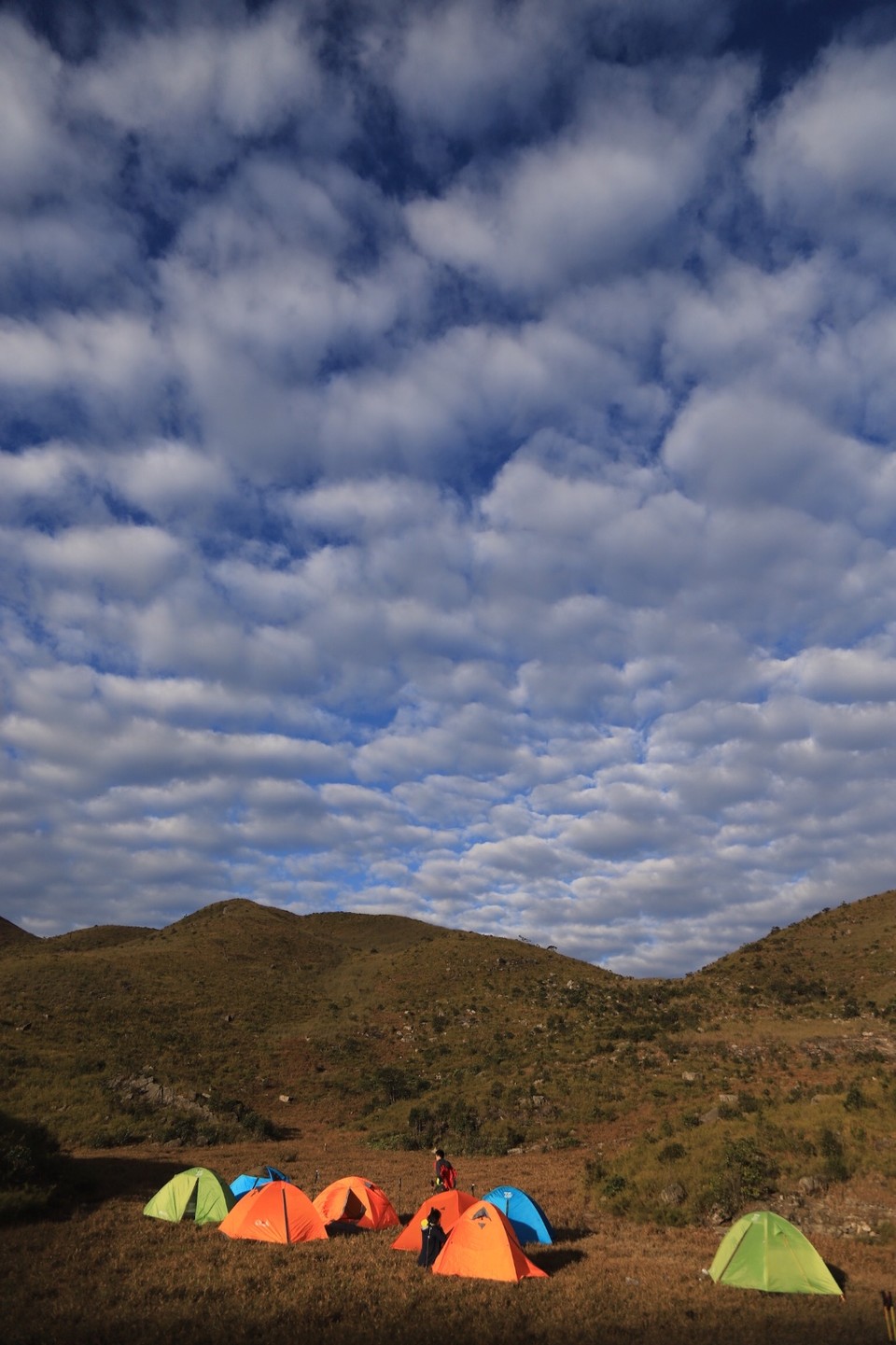 7F76C5C3-C587-46DC-B36F-BD02F3A01DA7