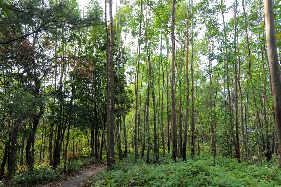 BA534A0E-3BDB-4566-8934-58A7A4D9592F