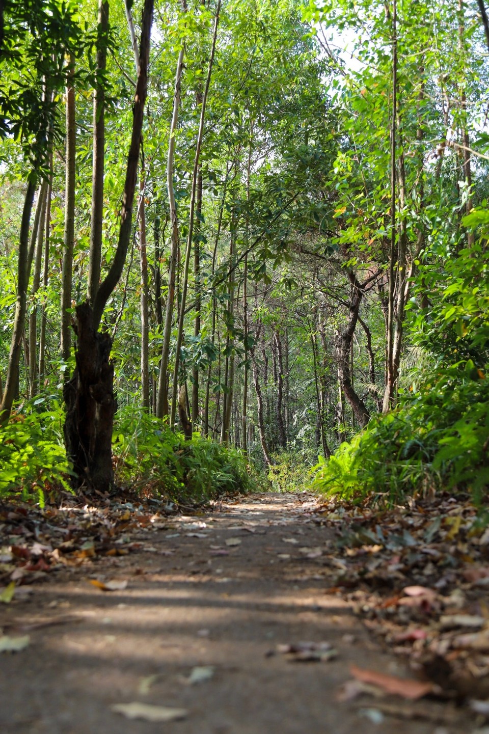 E77A7ECE-8D8C-41C5-8682-76F008609394