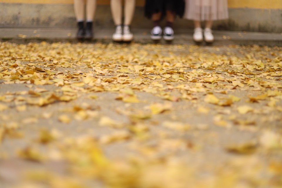 3EC3DDED-51DE-4830-85CB-C49D8D906296