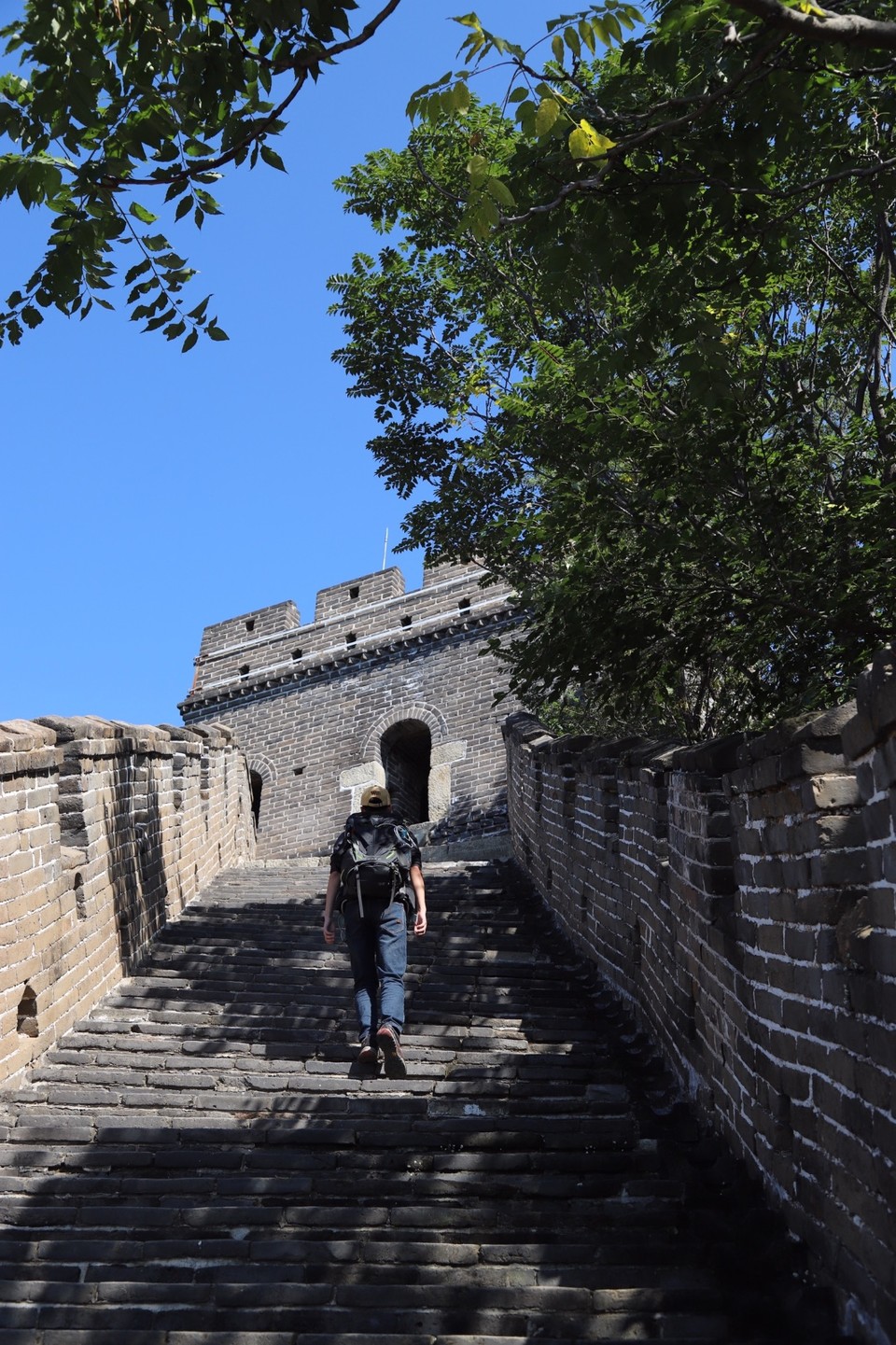 E8256BBE-CC45-4EF9-8A1E-6FE692BB2092