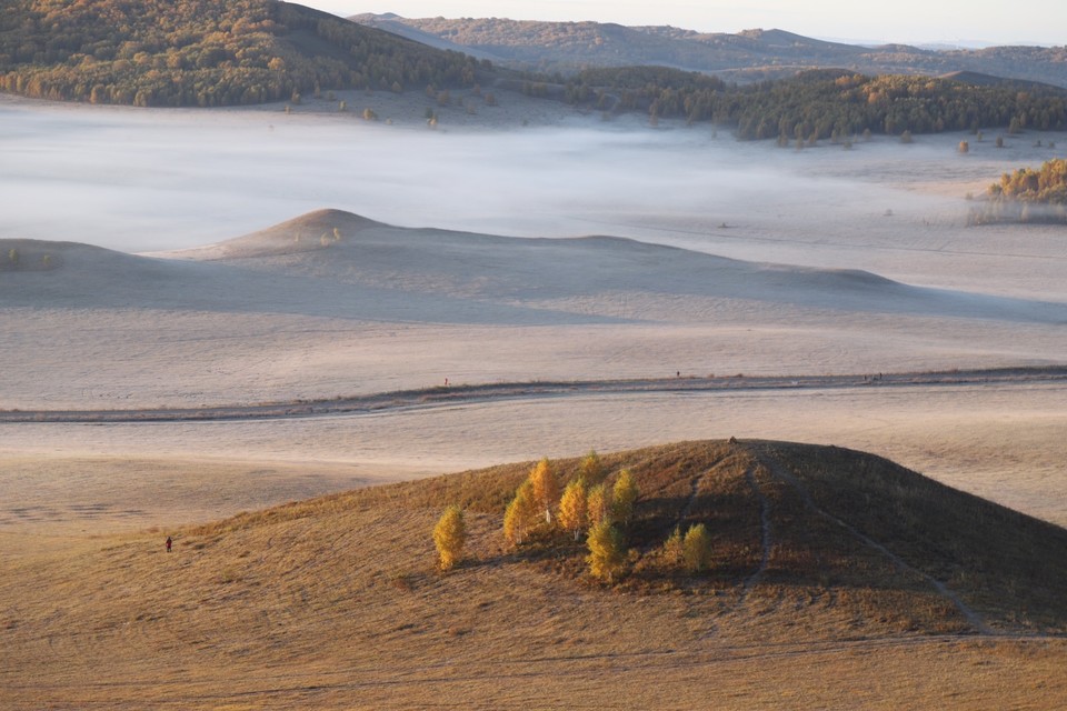 8A9E3089-2F66-4EB4-B7CB-9B03977F49C5