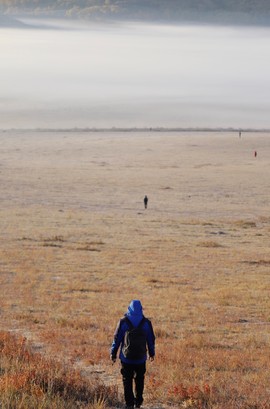 4977ECAE-5B78-451D-81F7-BCFD71B882CB