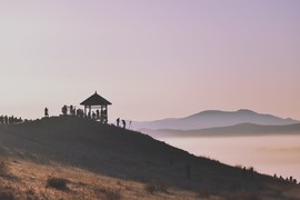 DAC44269-E86D-4D19-A02F-32AFF3EFE3FC