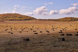 EC32A2B5-F8E8-4052-AB5B-3F17AA557C6E