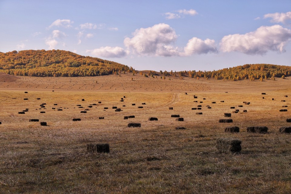 EC32A2B5-F8E8-4052-AB5B-3F17AA557C6E