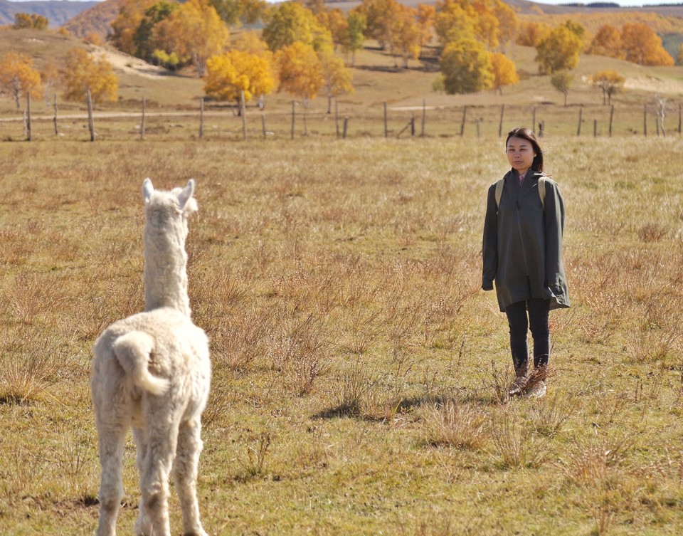 09812283-16ED-4E63-AA37-E9D20F450588