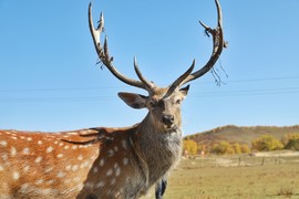 71BA9280-6392-498A-BCA8-49CD996264AD