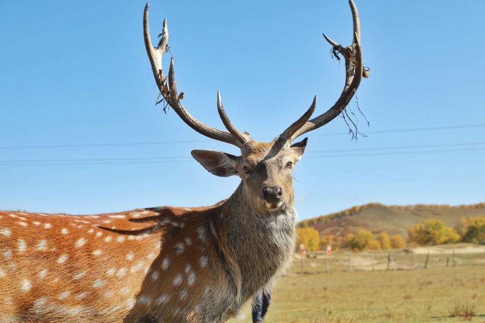 71BA9280-6392-498A-BCA8-49CD996264AD