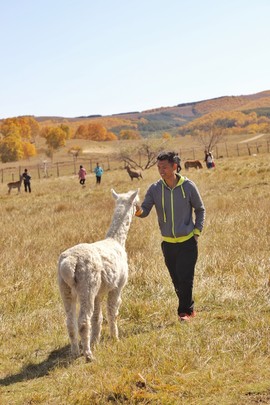 D26CC2F9-3F81-403D-B62F-0CD661717451