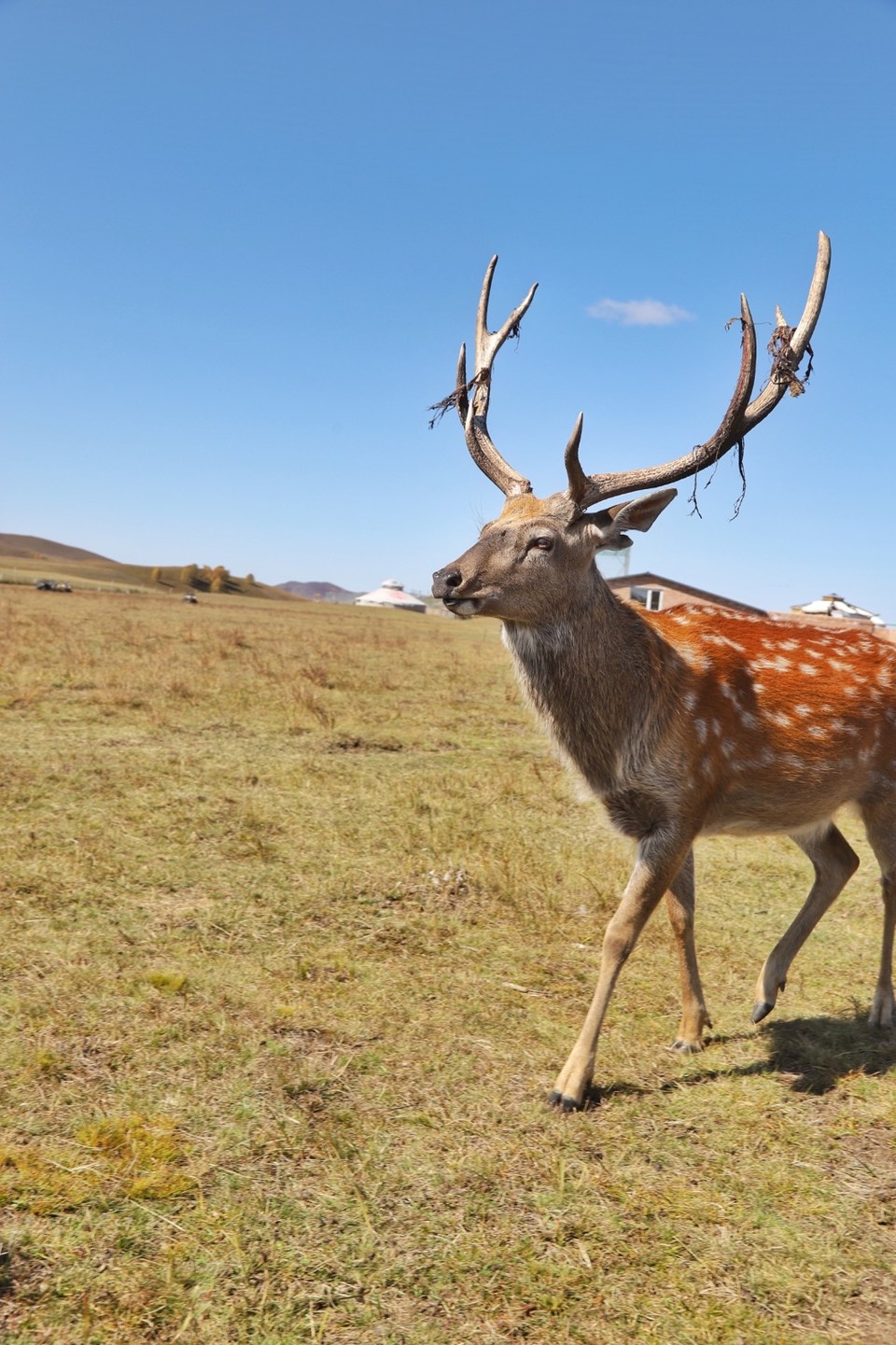 EF12B27D-3F76-4FC4-B3F7-680579E9E455