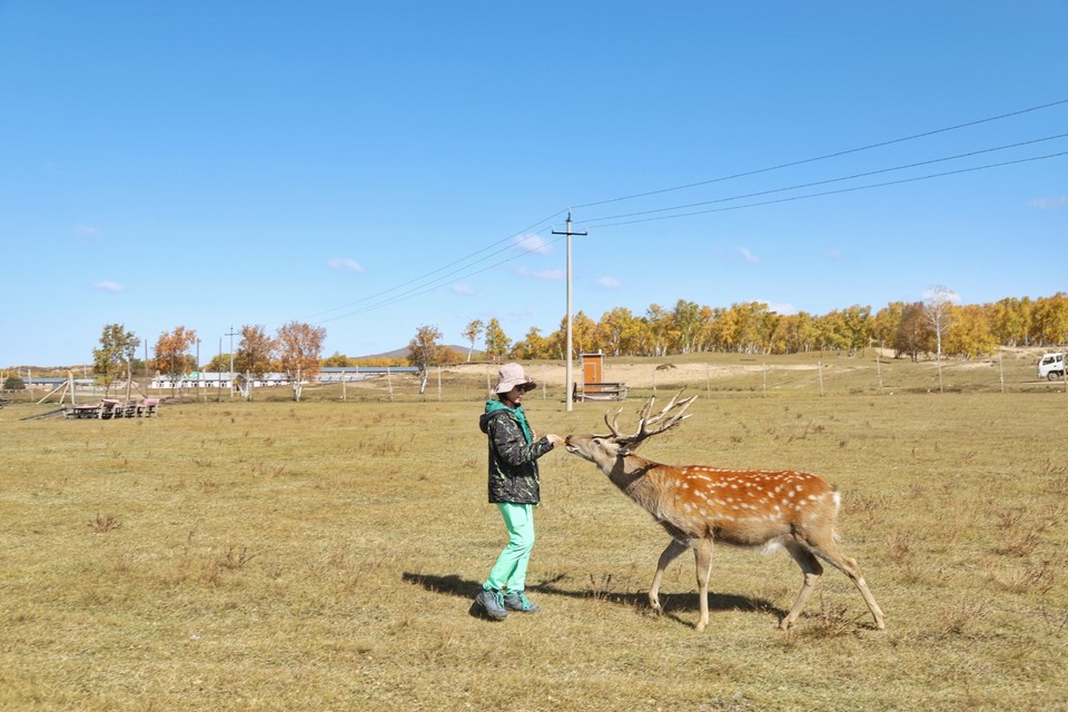 53A759E8-83C1-4970-845A-8C22C0D07294