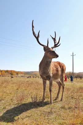 E35813F9-0A37-4A9A-9E81-B8688804BFF4