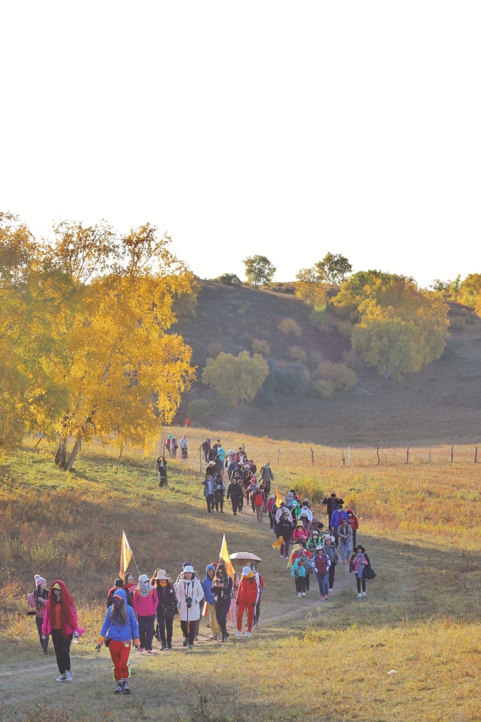 56FF2AF4-1581-4034-8131-D880647D8EE1