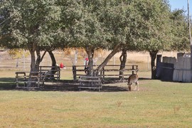 7F67893D-8769-4CA4-B4D1-1991C3336AB5