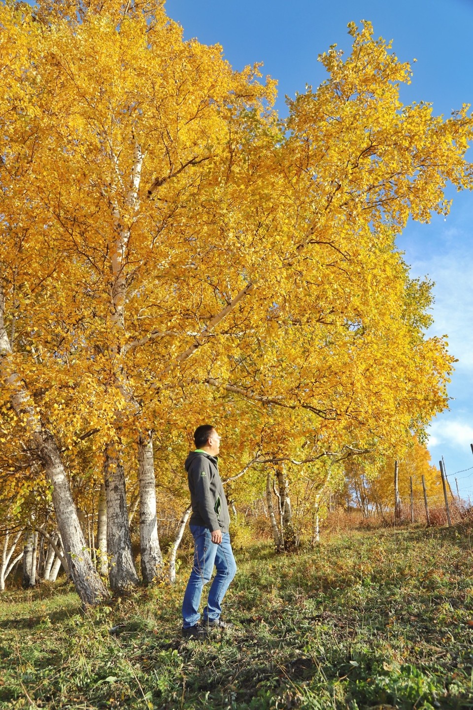 96EFFD50-56C0-452D-B74B-D1FDC103830A