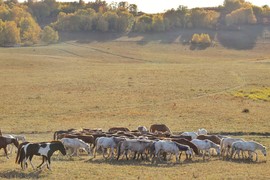 93ABA7F2-4855-4F12-8418-1EBF1CC1DE11