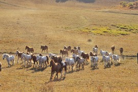 193394B2-4A57-4ECE-8757-D37D82C39148