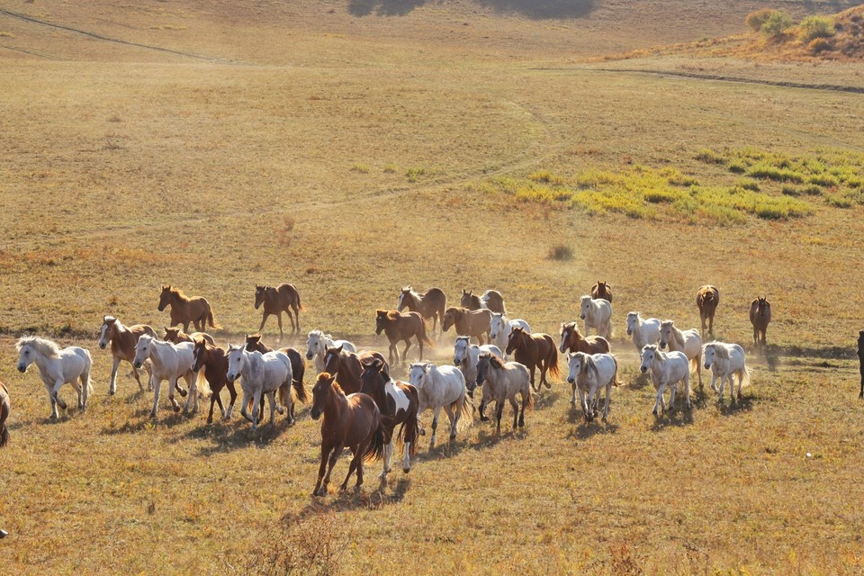 193394B2-4A57-4ECE-8757-D37D82C39148