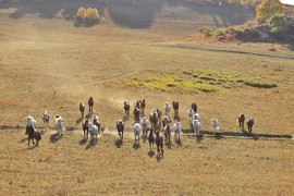 FFB1EE4E-45DF-479E-A2F9-33D108D2B79A