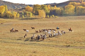 CFCA20CC-E1D7-4F18-9448-98259AC7C73A