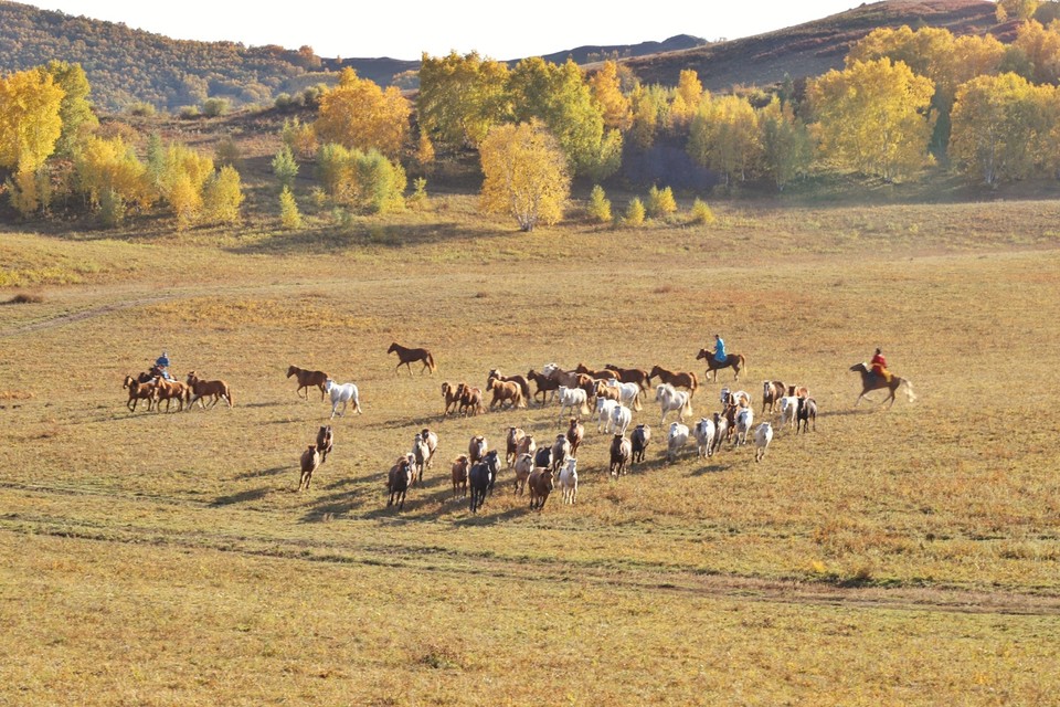 CFCA20CC-E1D7-4F18-9448-98259AC7C73A