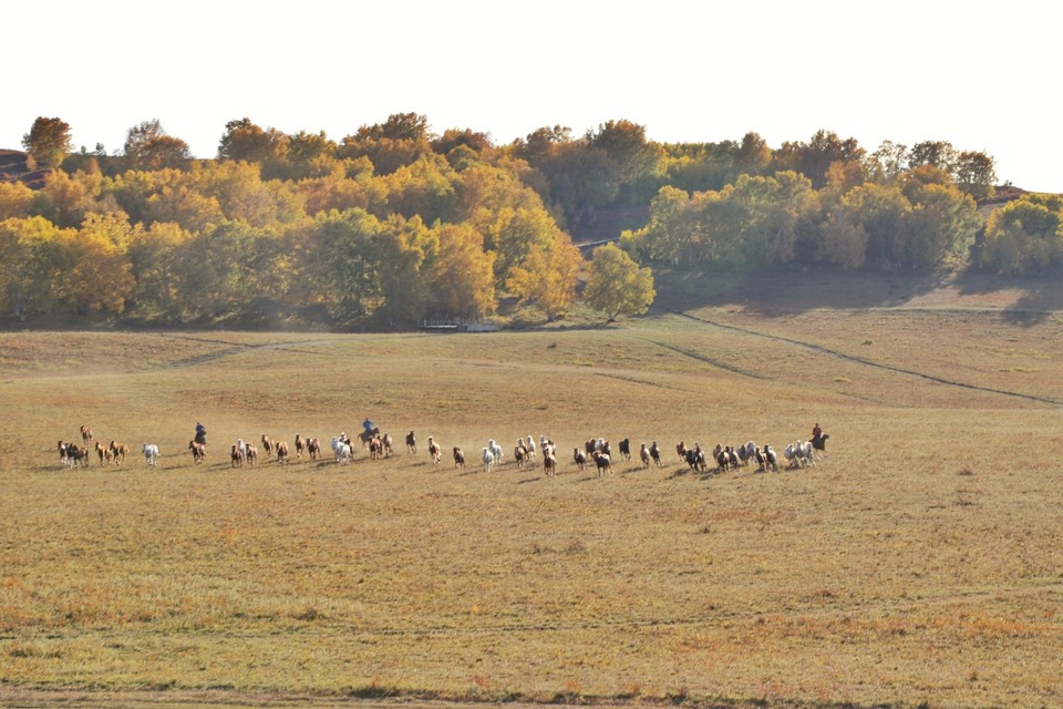 AF84B225-8E1F-470F-8C40-18DDF6DEAC70