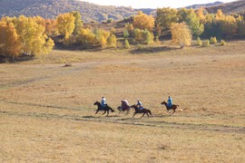 3FBFC610-32B5-4548-B4A9-E11EB00191FA