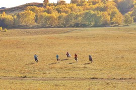 D1D7E36F-1FBB-4618-A843-4C346C571439