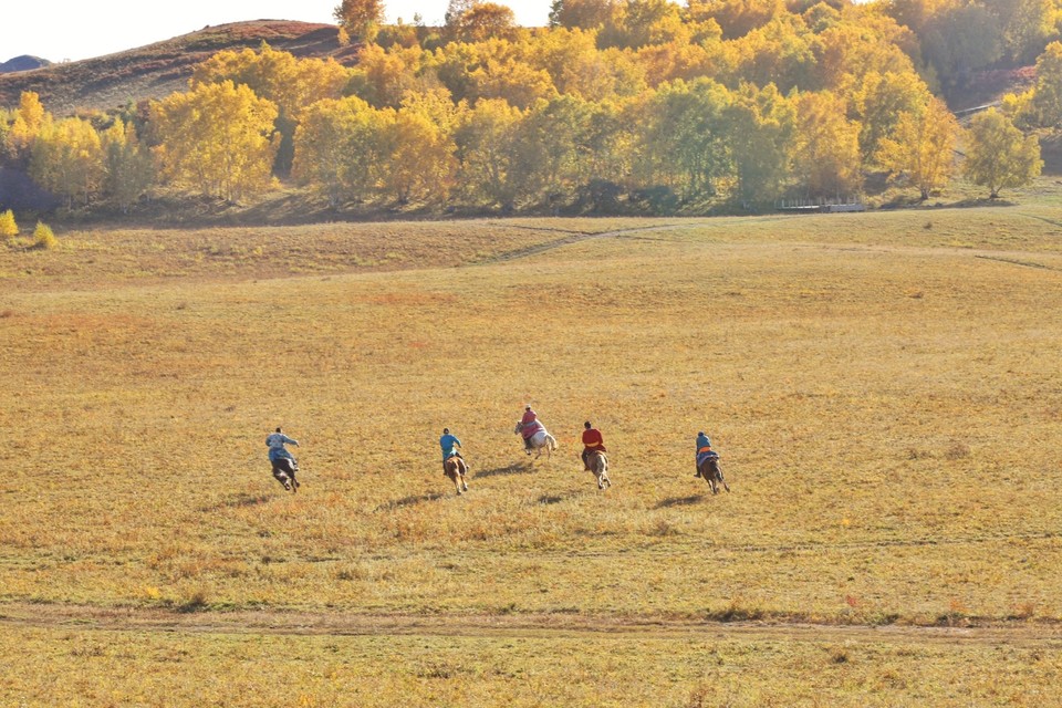 D1D7E36F-1FBB-4618-A843-4C346C571439