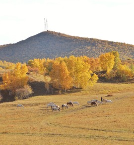 DBADEE62-3A17-4249-A130-20DA682D137E