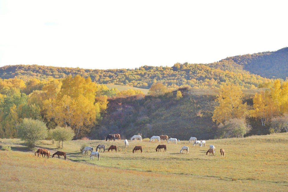 6F74F0ED-03BB-4B88-9722-D9B2815FEBAB