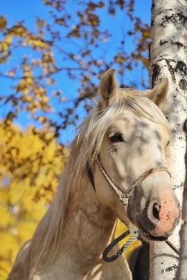 CBD707E6-EFB0-4720-88C8-D7114F6EB5DB