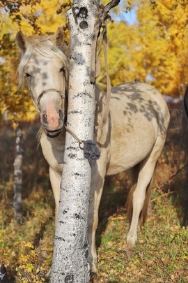 B3F85B00-EDC4-4D95-90D1-DC67AA6761BE