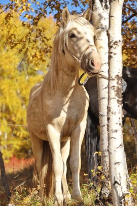 0E67C9A8-2FF3-4A52-B0B4-45AD75EE3A8E