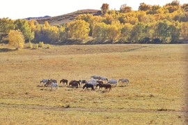 E9F9B83B-D7D0-4326-BBE6-FFD22C581041