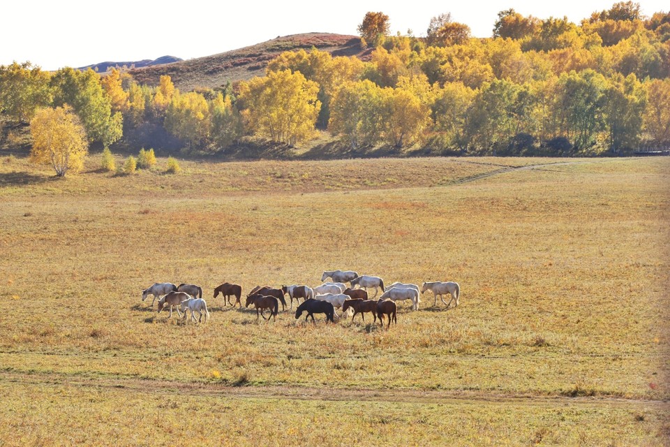 E9F9B83B-D7D0-4326-BBE6-FFD22C581041