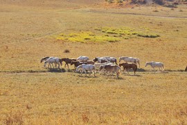 031B67A9-D3E2-46EB-96BC-69CAA35B7996