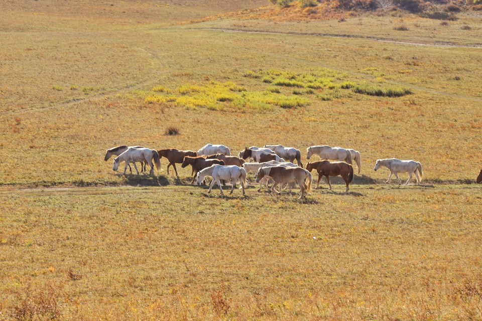 031B67A9-D3E2-46EB-96BC-69CAA35B7996