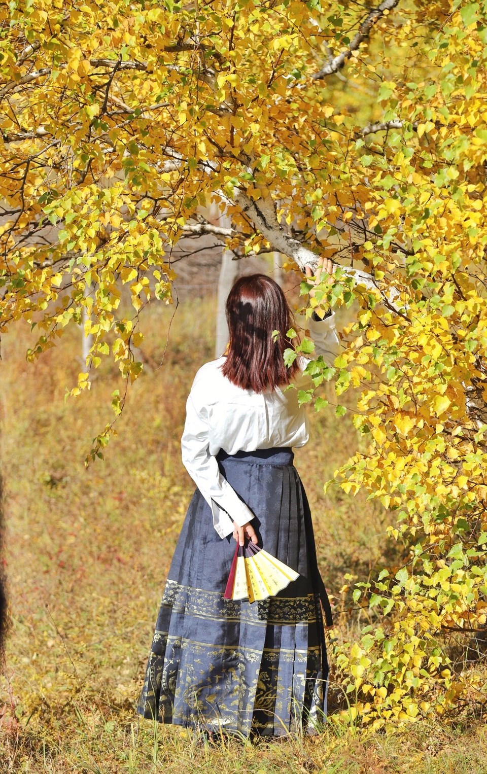 971EDAFD-CD61-482E-B55E-7CA3967ECDD2