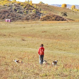 8932204E-137A-48E2-B23E-FCBB7FF32AB5