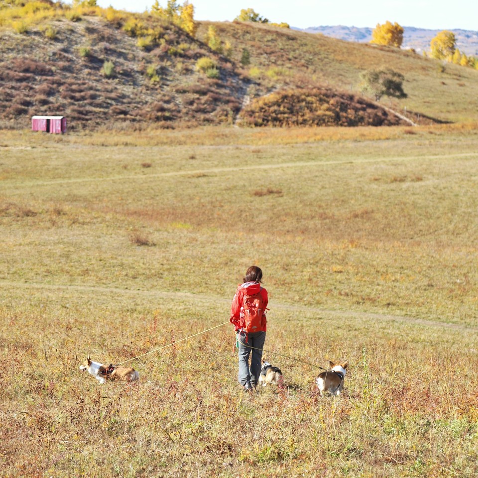 8932204E-137A-48E2-B23E-FCBB7FF32AB5