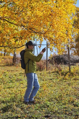 1D11E947-019D-425B-9AC4-6FC3B78E578A