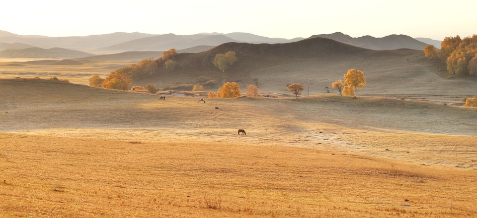 A9875AC7-4E1C-4B63-B0CB-E55C9C6074EB